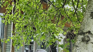 A covered porch with a wooden bench, a hanging chair, and a small table with a lantern. - 1873 Victorian Rose B & B (Port Washington)