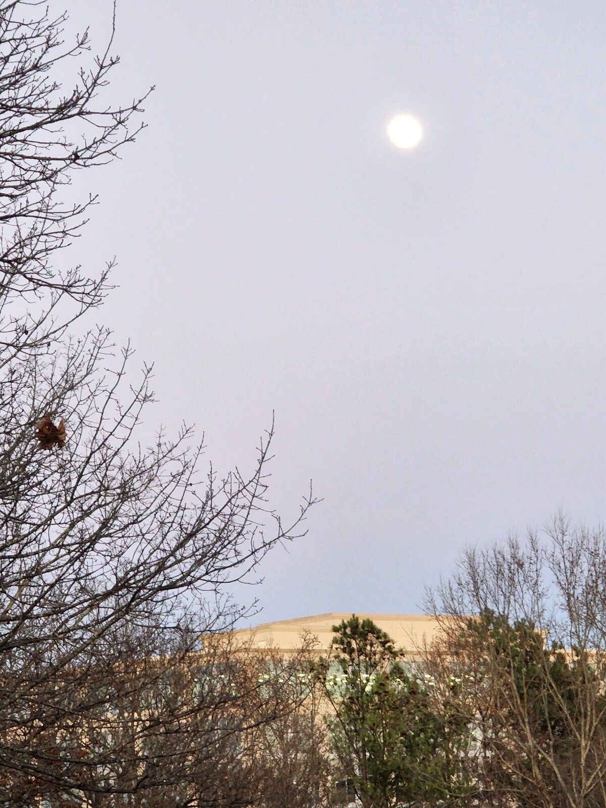 Imagen de perfil del propietario o de la propietaria