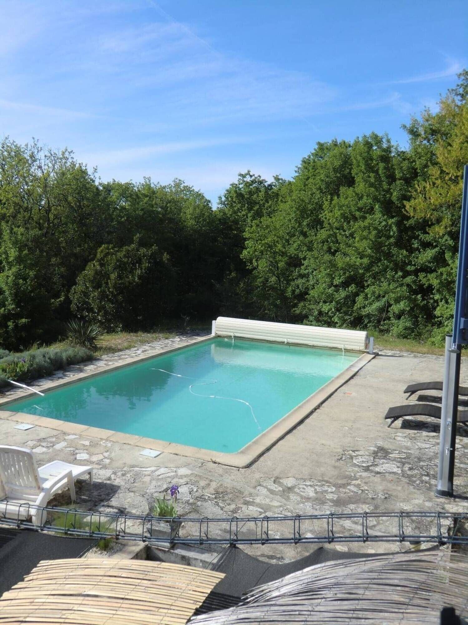 Ein rechteckiger Pool mit weißem Rand, umgeben von einer Betonplattform.