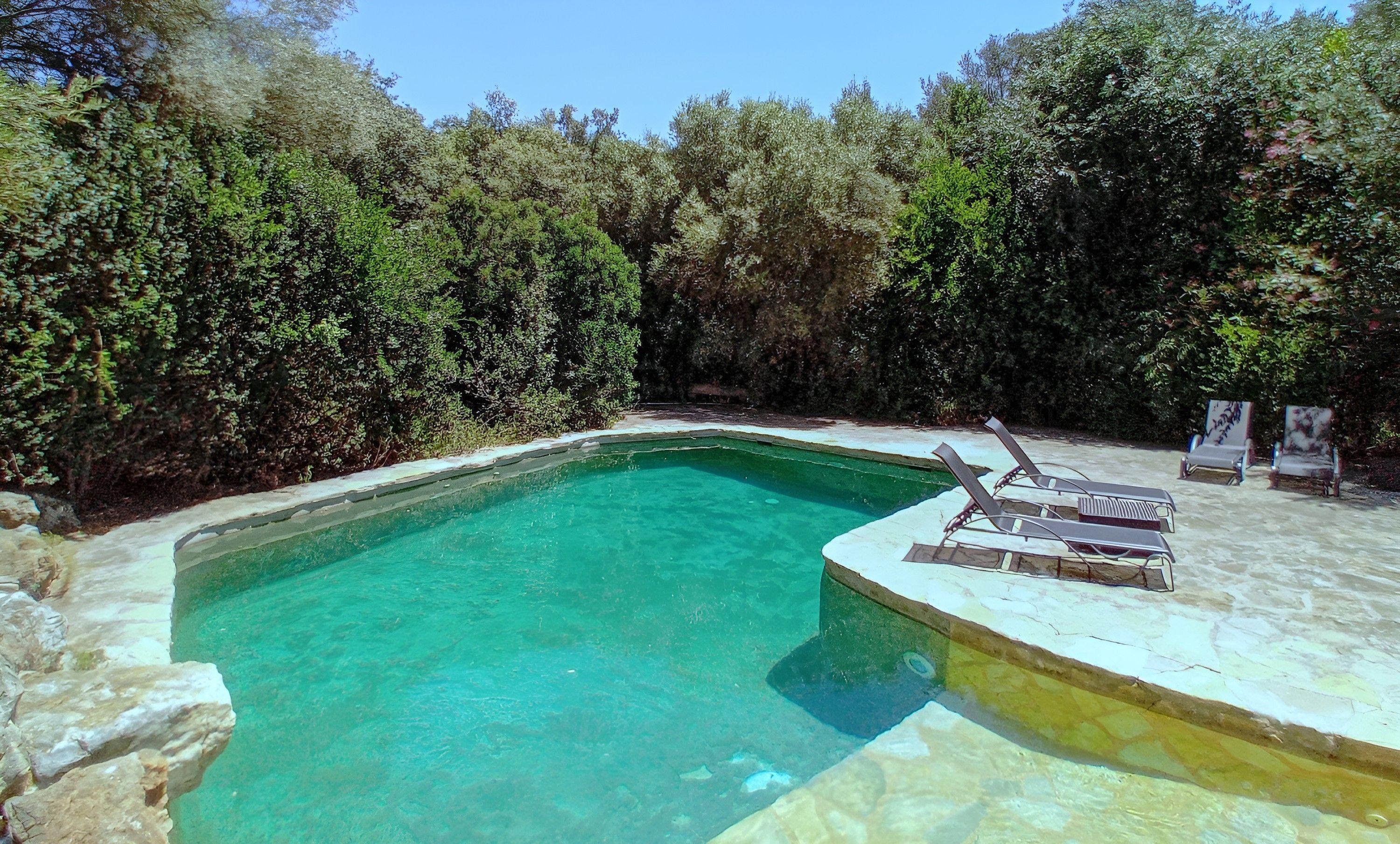 Una piscina cristalina con borde de piedra, rodeada de abundante vegetación.