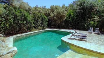 Una piscina cristalina con borde de piedra, rodeada de abundante vegetación.