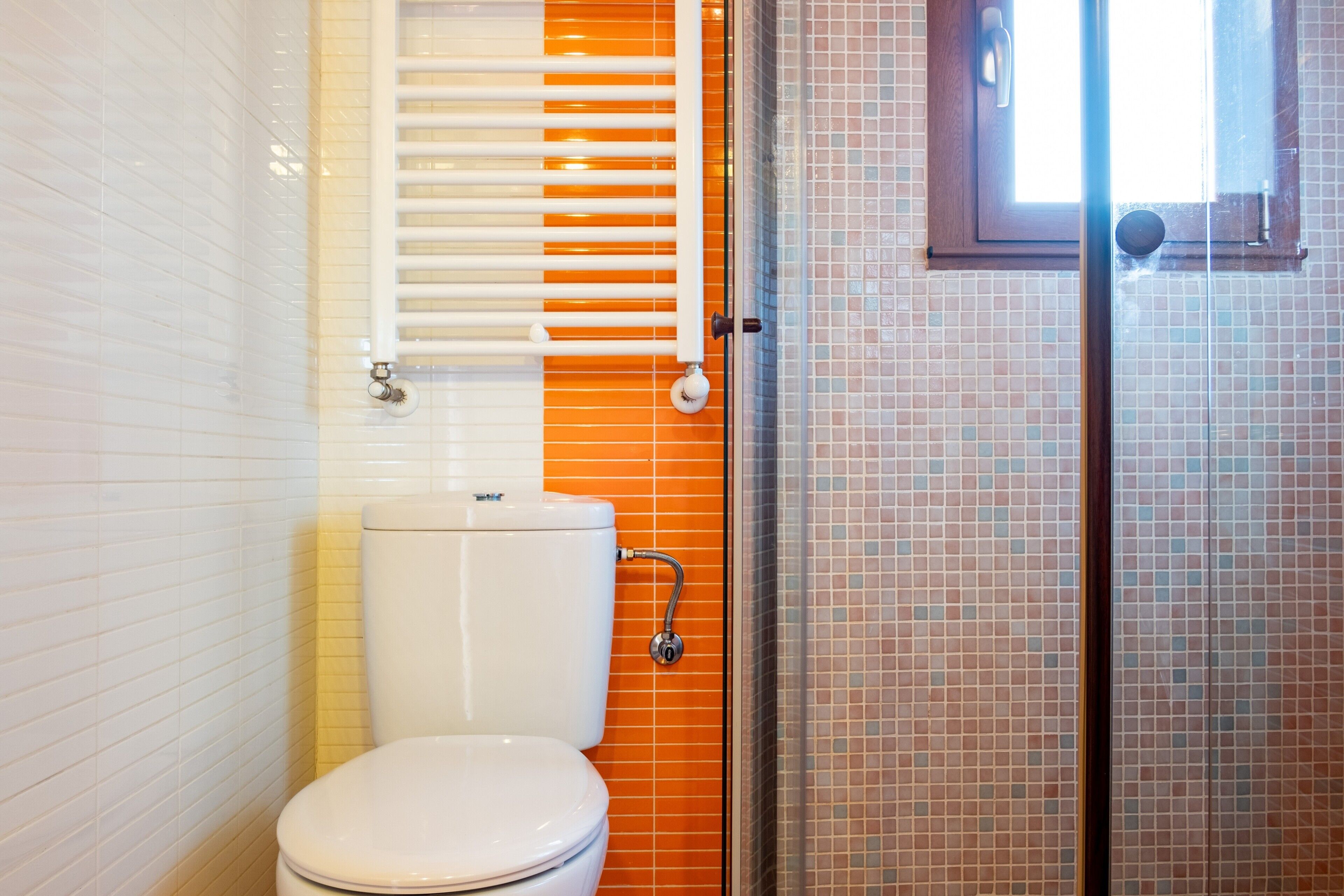 A bathroom with a toilet, a shower, and a window.