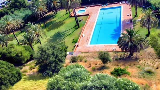 Vista aerea di un resort con una piscina rettangolare, palme e un edificio grande sullo sfondo.