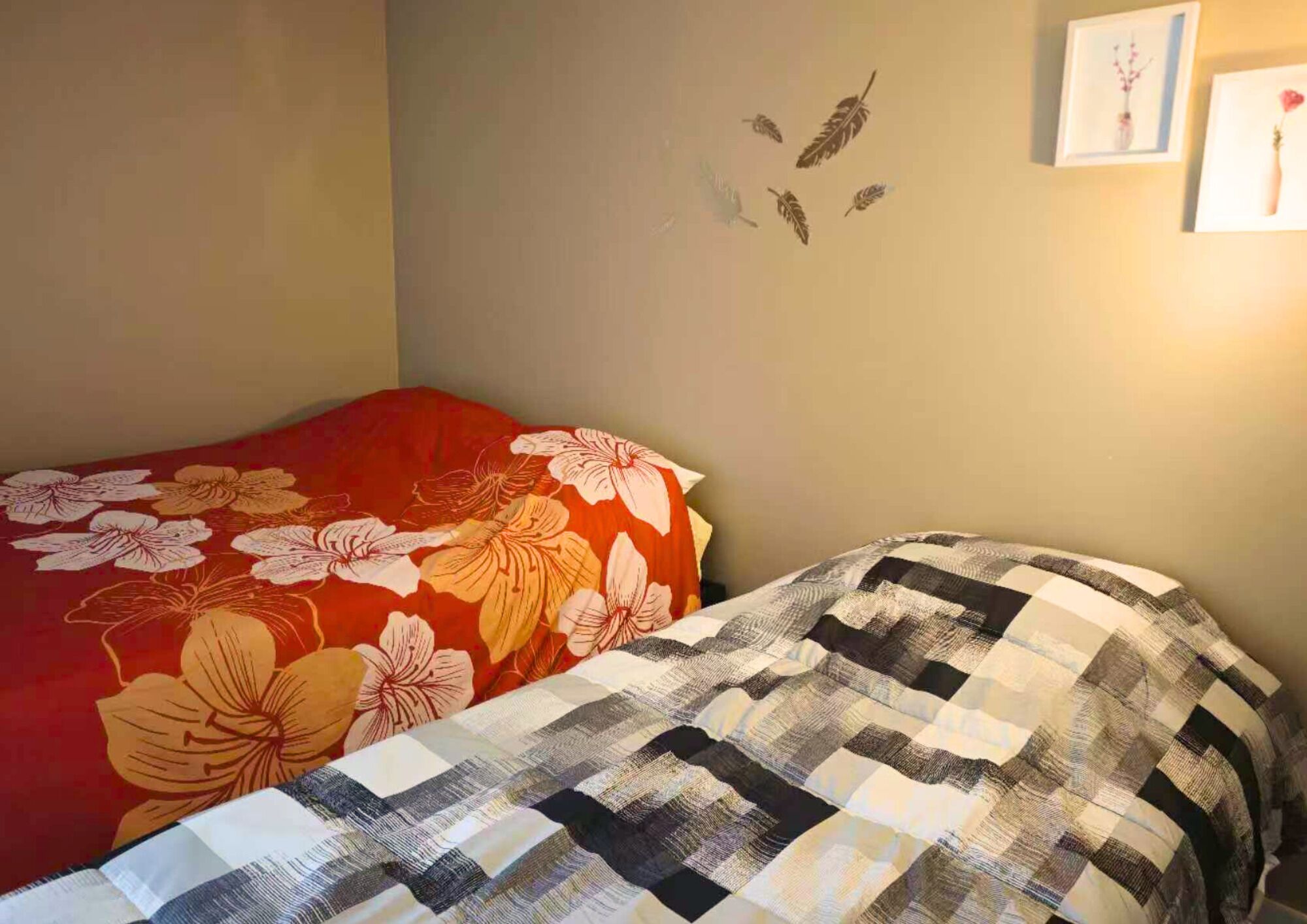 Basic Single Room | Free WiFi