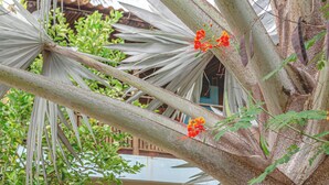 Una escalera de madera conduce a un edificio con techo de paja, rodeado de plantas tropicales y una palmera.