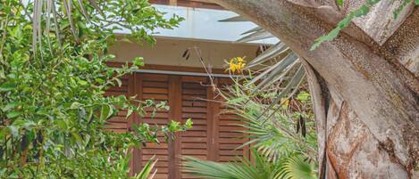 A wooden staircase leading to a building with a thatched roof, surrounded by tropical plants and a palm tree.