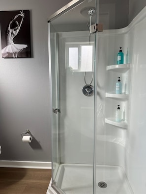 Shower, hair dryer, towels