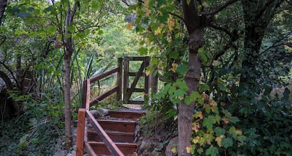 River Walk Cottage - Nelson's Charming Riverside Retreat