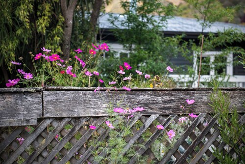 River Walk Cottage - Nelson's Charming Riverside Retreat