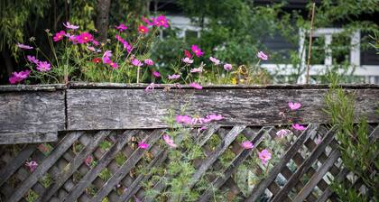 River Walk Cottage - Nelson's Charming Riverside Retreat