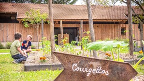 A rustic wooden building with a tiled roof, surrounded by a garden with various plants and a sign reading "Courgettes".