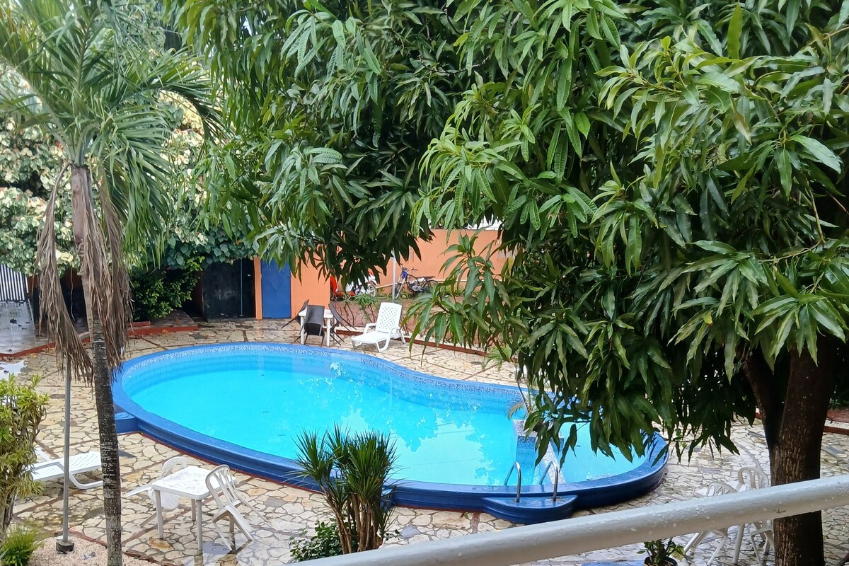 A swimming pool surrounded by greenery, with a tiled patio and lounge chairs.