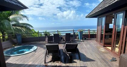 Stunning ocean views in completely renovated villa just 5 minutes from the beach