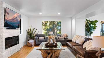 Smart TV, fireplace, DVD player, books