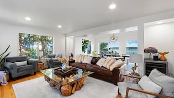 Smart TV, fireplace, DVD player, books