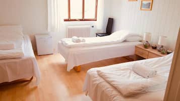Basic Triple Room, Mountain View | Free WiFi