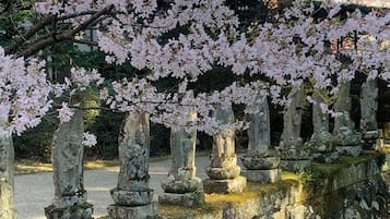 施設の敷地