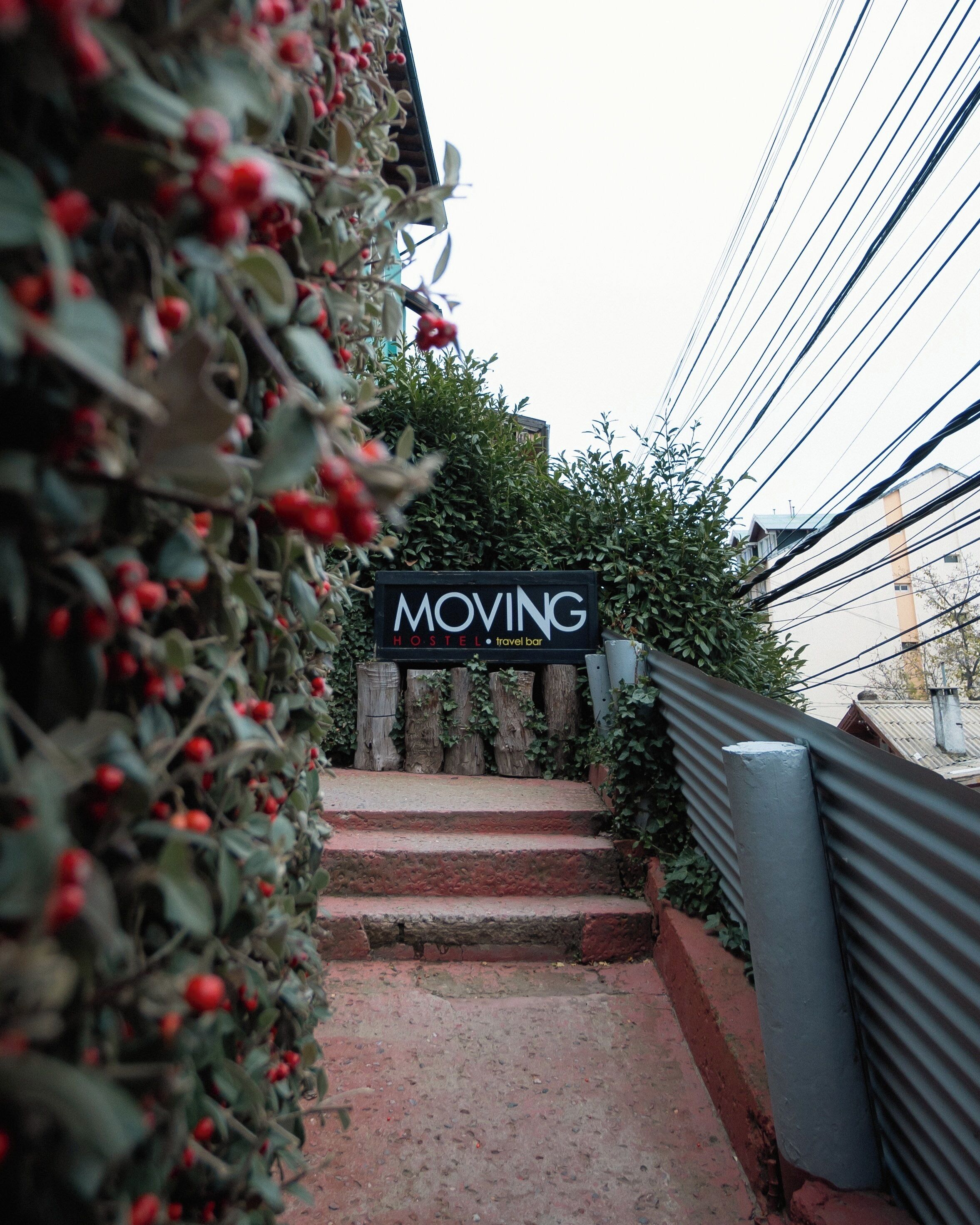 Foto - Moving Hostel Travel Bar