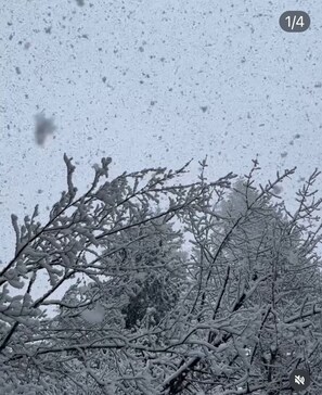 Paisagem nevada com árvores secas e flocos de neve caindo.