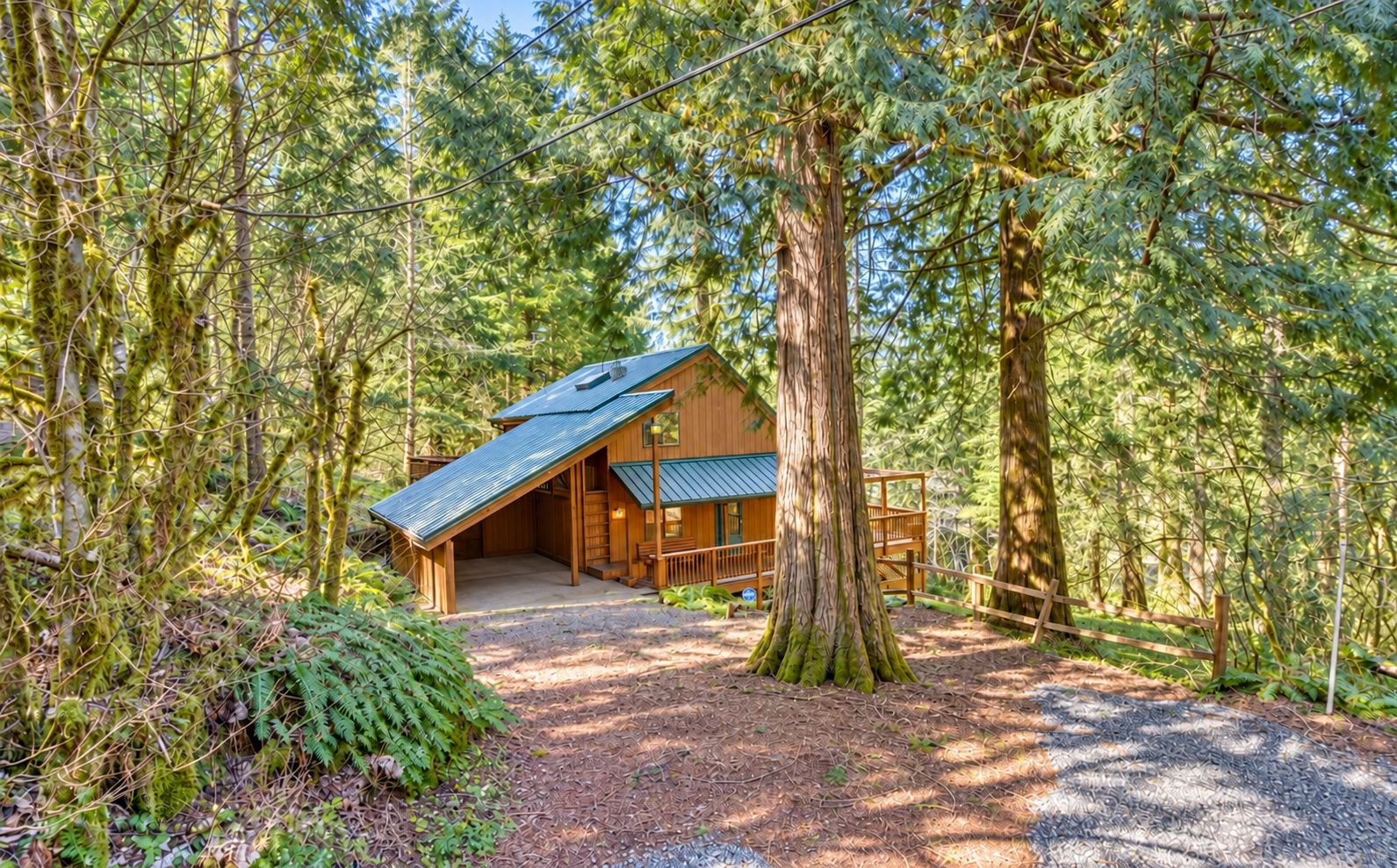A cabin with a sloped roof, surrounded by dense forest.