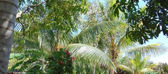 R & V Villa private room with Veranda