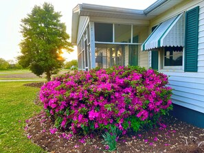 Exterior detail - Quaint costal farm cottage, on a working farm, just mere miles from beaches!  (Cape Charles)