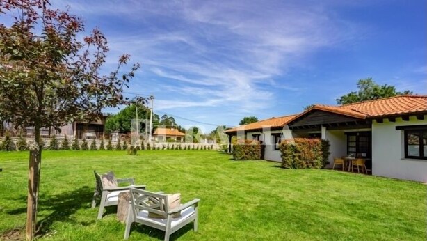 Property grounds - Entrenueces 2 - rural apartment in Camango (Ribadesella) | 4 guests (Camango)