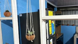 A kitchen with a black refrigerator, a window with blue walls, and hanging plants. - La Casa De Detours Costa Rica (La Fortuna)