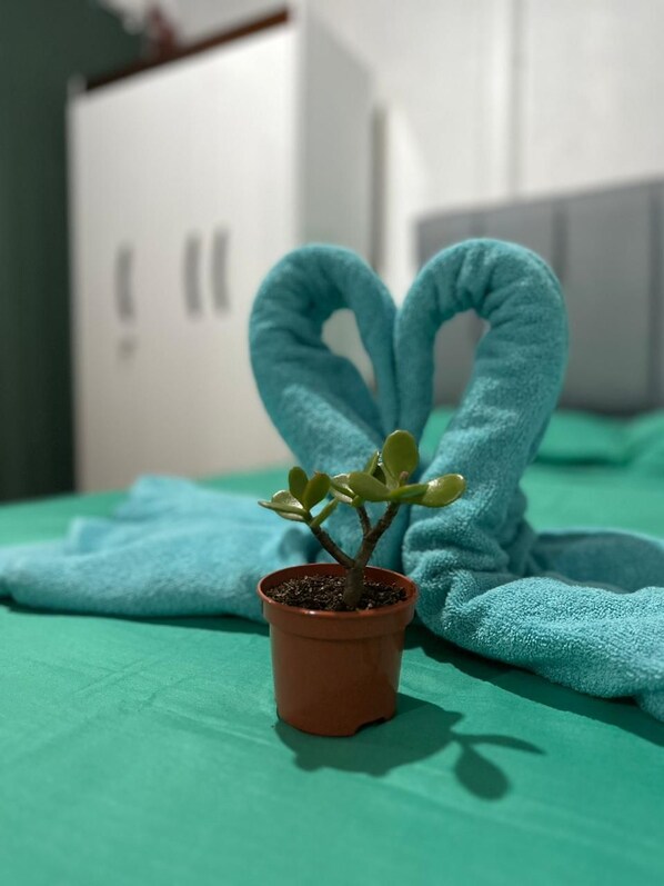 A small potted plant on a green surface with a towel shaped like a heart in the background.