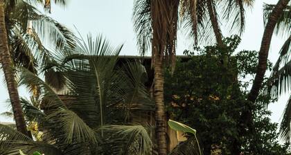 Minimalist Panjim