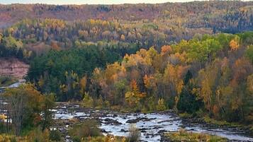Un paisaje natural con un río, un bosque denso y terreno rocoso.