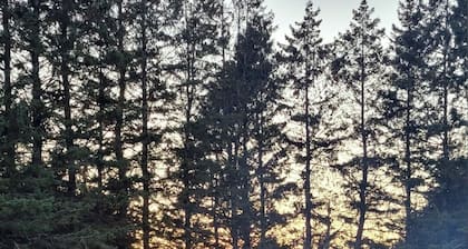 Jay Cooke Cottage: Autumn Colors Headquarters, dog +++, largeyard & firepit