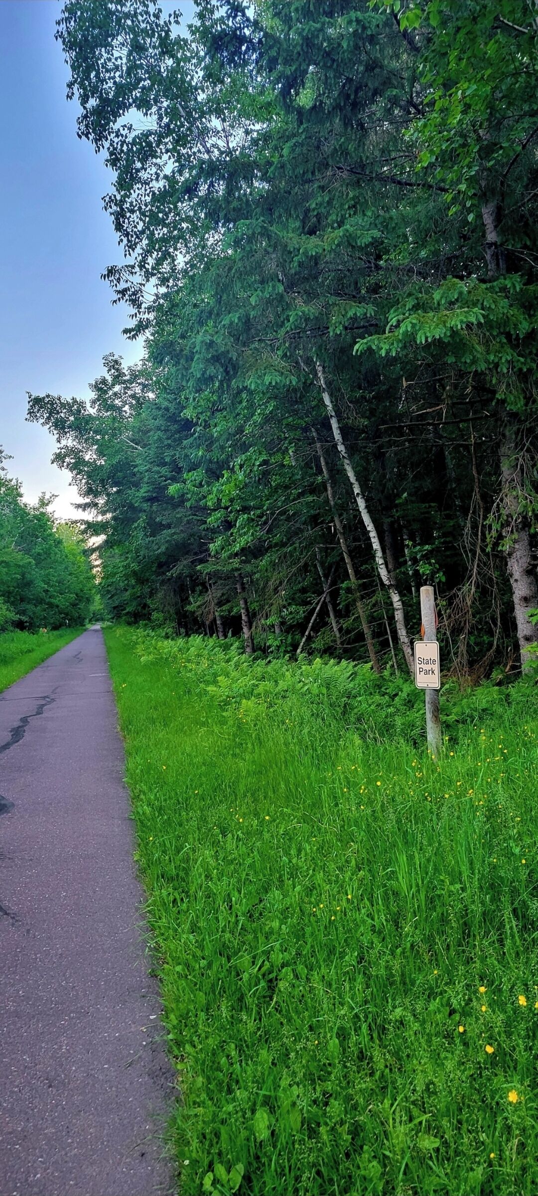 Een geplaveid pad langs een dicht bos, met een bordje dat een provinciaal park aangeeft.