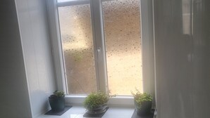 A window with two potted plants on a white sill. - 1Bed Apartment Sleeps 2 - Parking, Wifi (Fougerolles du Plessis)