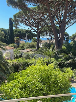 A lush garden with a variety of trees and shrubs, a clear blue sky, and a view of the sea in the background. - Loue Villa 8 Couchages à 3mm à Pied de la Plage,piscine,climatisé,cavalaire/mer (Cavalaire-sur-Mer)