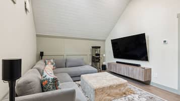 Smart TV, video games, books, music library