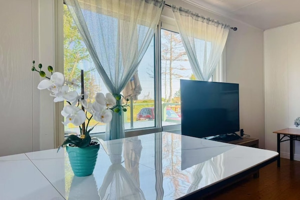 Elite House, Garden View | In-room dining