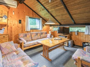 TV, fireplace, DVD player