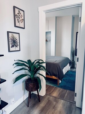 1 soverom, wi-fi og sengetøy