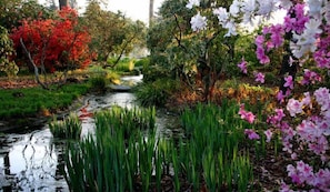 A serene garden with a small stream, lush greenery, and vibrant flowers.