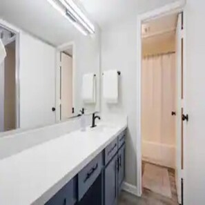 Bathroom features a large mirror, sink, and shower.
