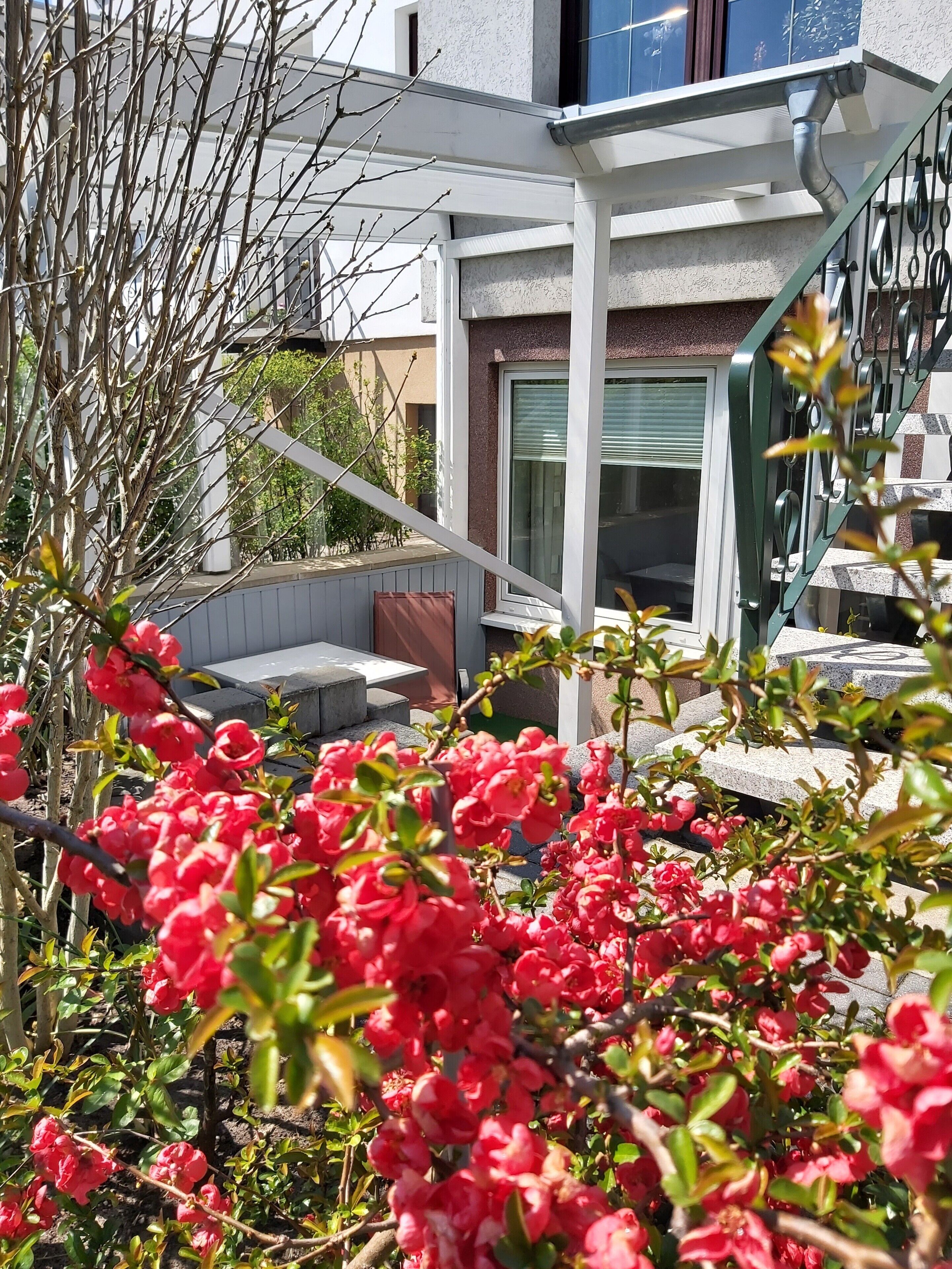 A modern building with a covered outdoor area, a staircase, and a garden with red flowers.