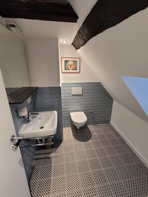 Shower, hair dryer, towels - Apartment 'Zimmer 2' with Shared Garden and Wi-Fi (Ortenberg)
