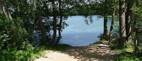 Nära stranden