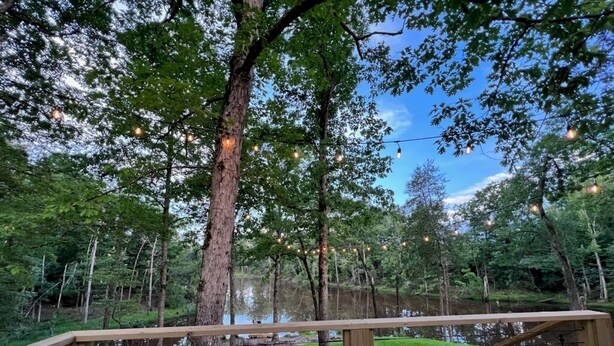 A wooden deck with a railing overlooking a lake, surrounded by trees. - Cozy Waterfront Retreat at McMichael Farms (Chesterfield)