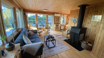 Fireplace, DVD player, books