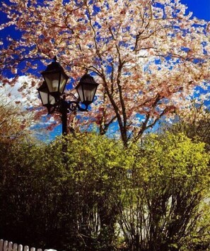 Exterior detail - Romantic holiday home with storage (Wyk)