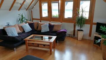 Smart TV, fireplace, DVD player, books