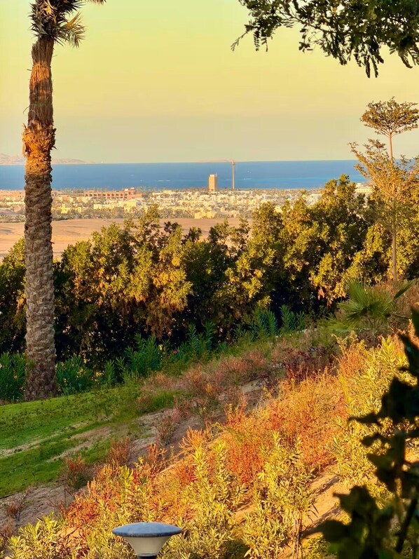 Vista de una ciudad costera con una torre destacada, rodeada de vegetación exuberante y un cielo despejado.