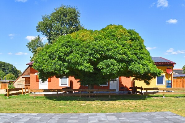 A house with a large tree in front, a wooden fence, and a paved area.